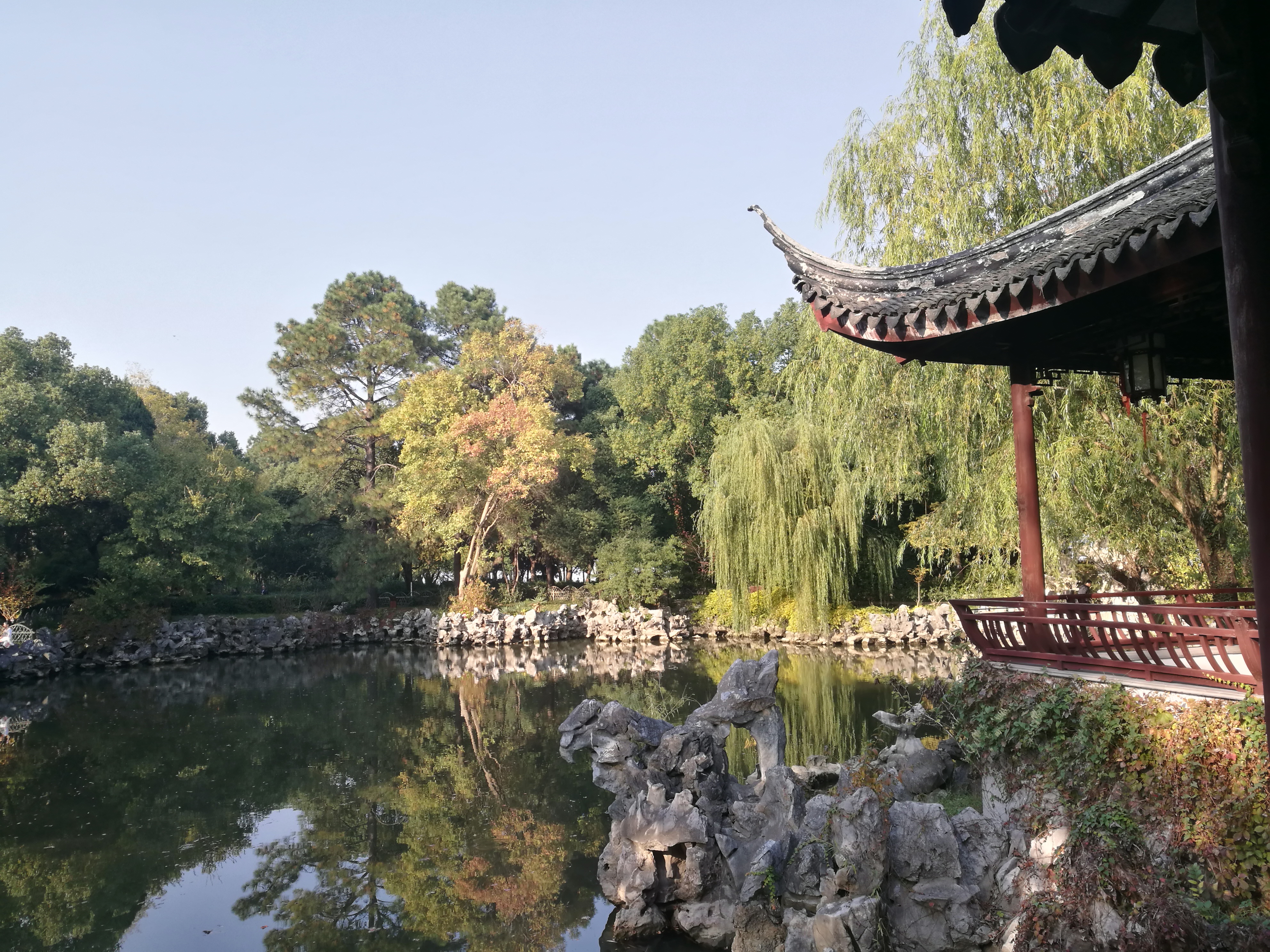 Qi Garden 2