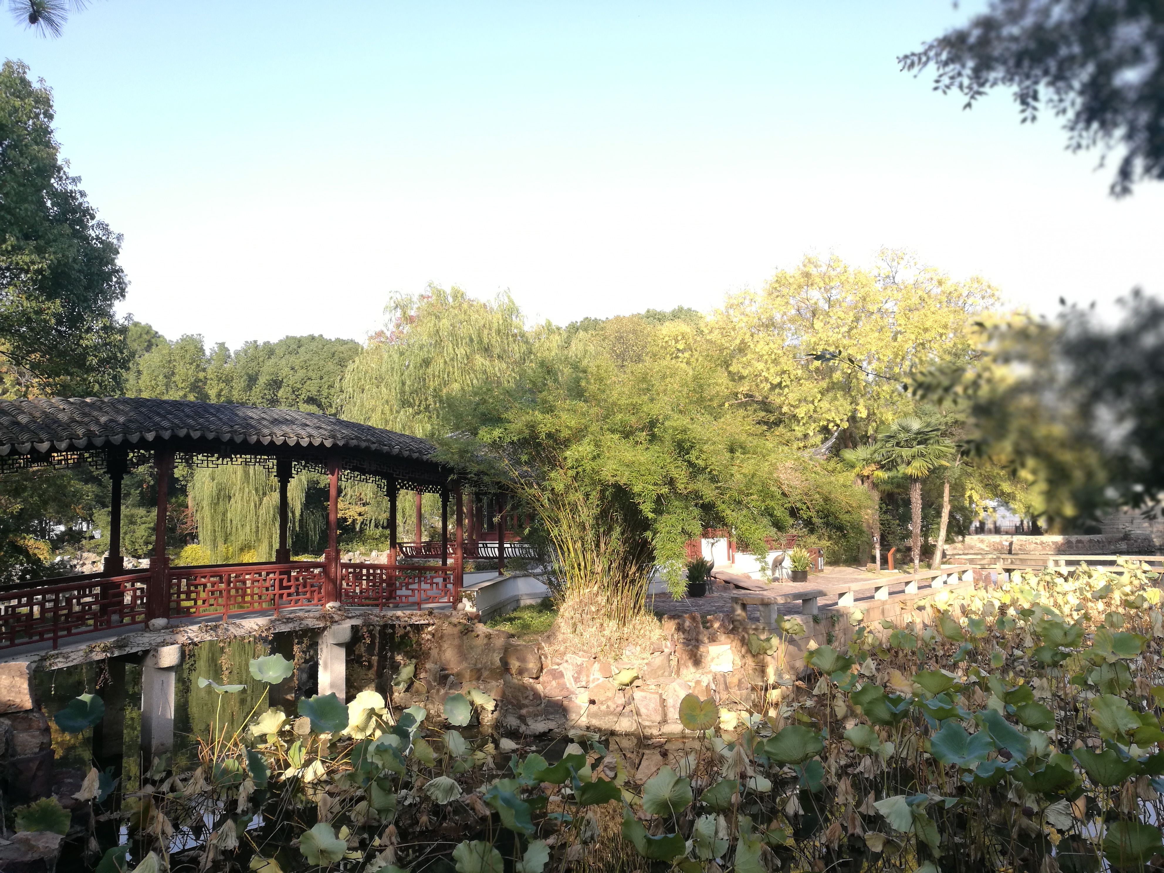 Qi Garden 1