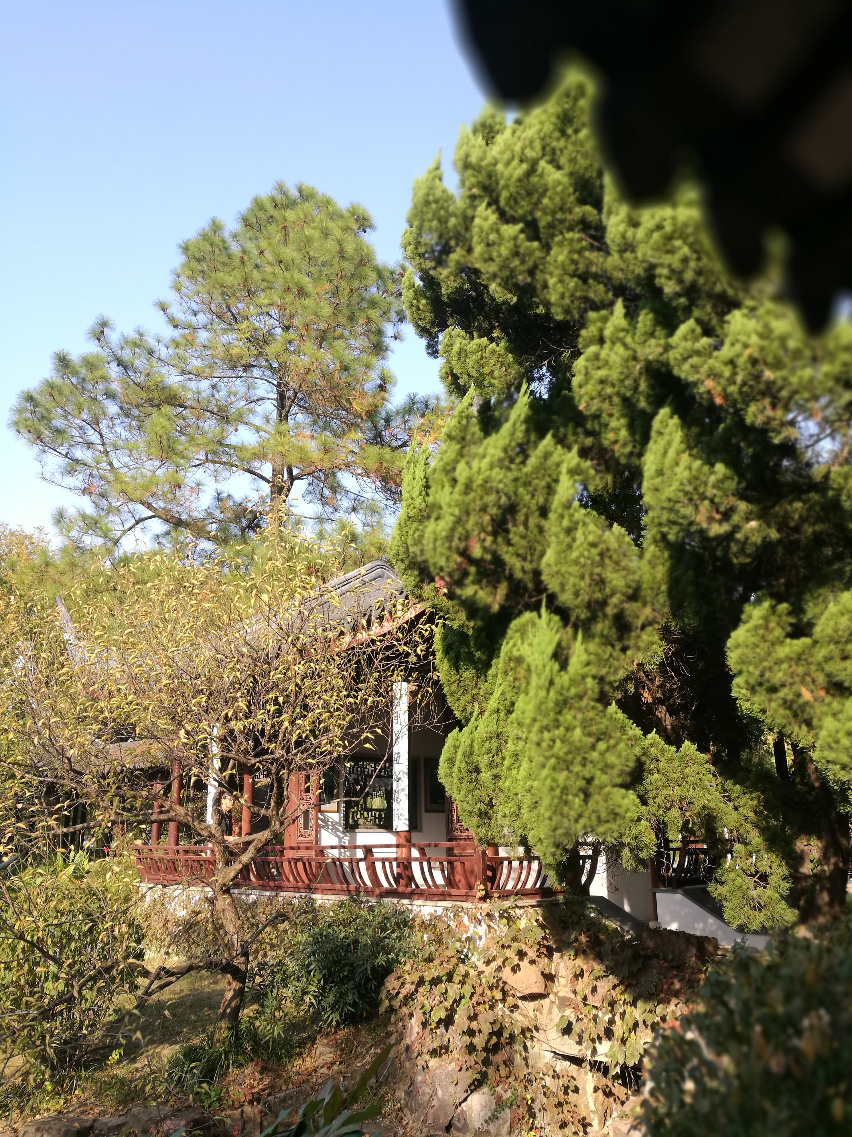 Qi Garden 4