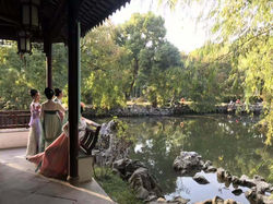 Qi Garden 15