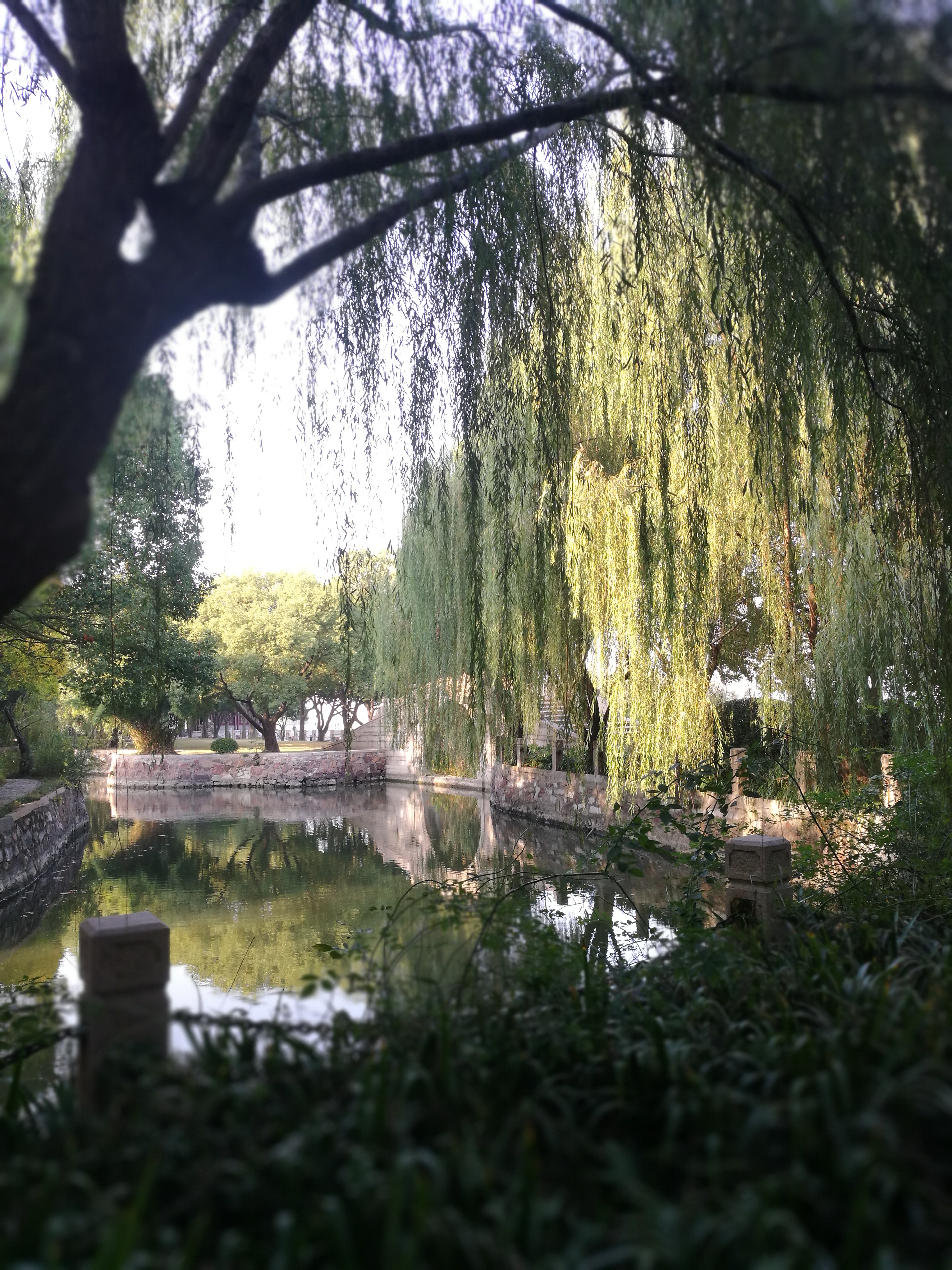 Qi Garden 6