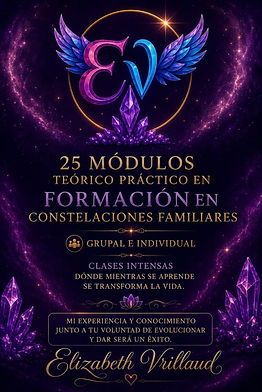 FORMACION EN CONSTELACION IMAGEN 1.jpg