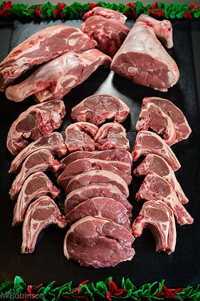 lamb.JPG