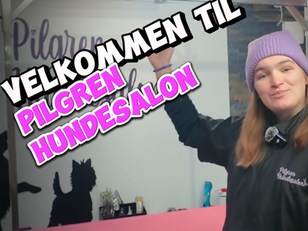 Pilgren Hundesalon - Hundefrisør i Vejle, Horsens, Hedensted Region