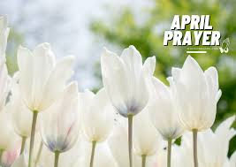 Prayer Update April 2026