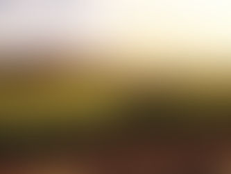 Chile: Aumentan las exportaciones de vino en un 5% en 2021