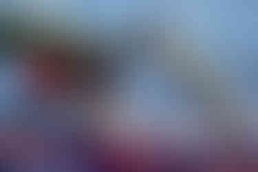 Mobil Outlaw is Back!