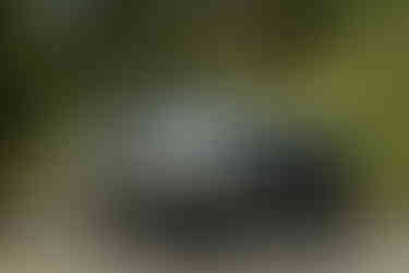 Isuzu D-Max: Trinidad & Tobago