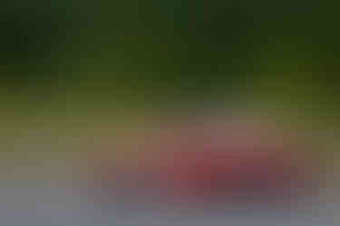 Mazda Caribbean Spec Miata Series