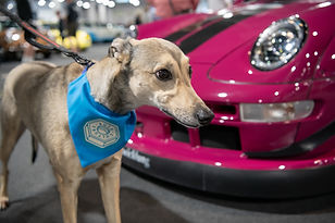 Auto Culture 25 (197).jpg