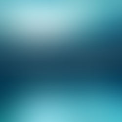 Secular or Godly View? 