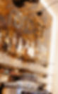 DasRoemer_HIGHRES_Final-55_edited_edited.jpg