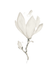 thumbnail_image1 (5)_edited.png