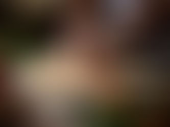 Elevate Your Celebrations with Alkimia Catering: The Best Pizza Experiences for Every Occasion