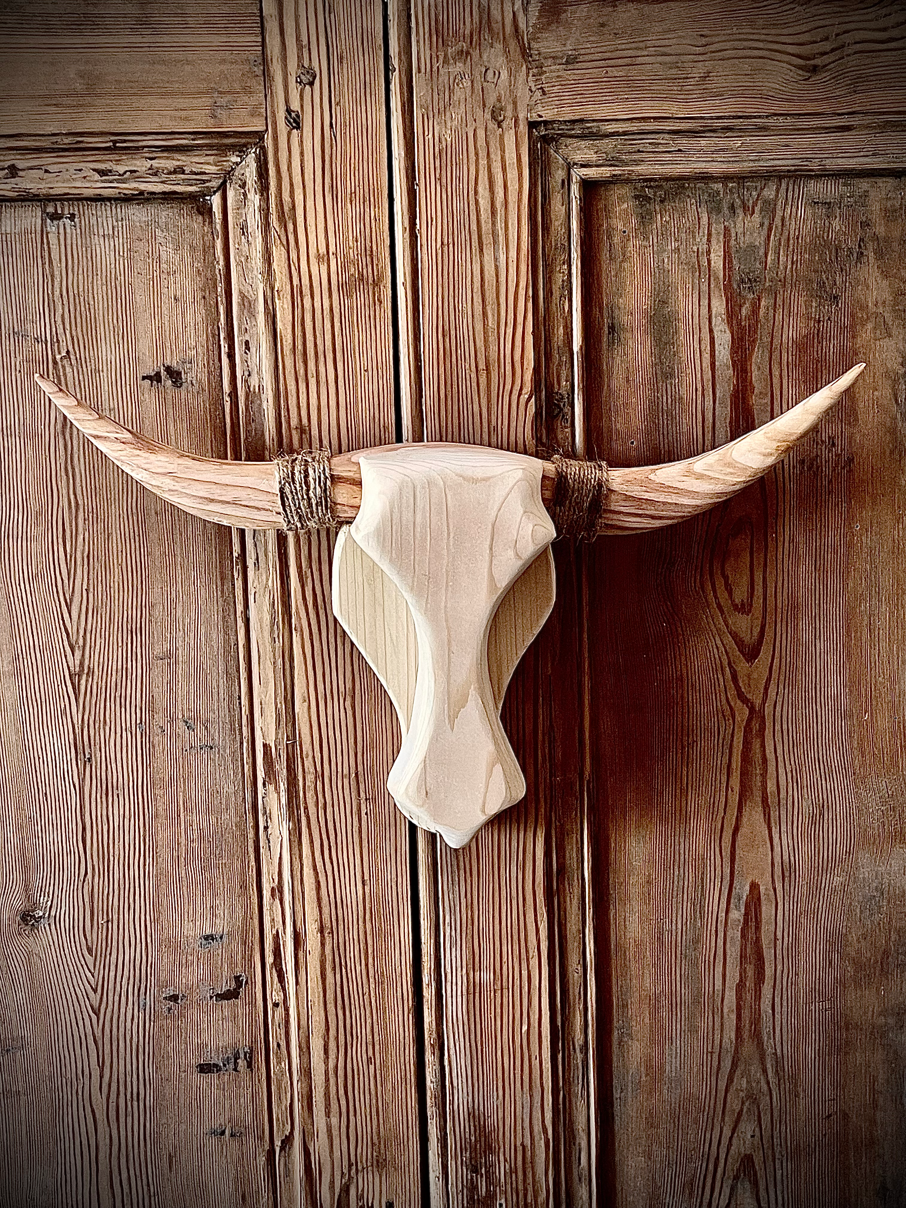 Tête bovin immaculée