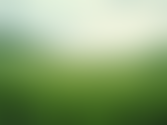 Embracing Transformation: 5 Spring Practices for Personal Growth