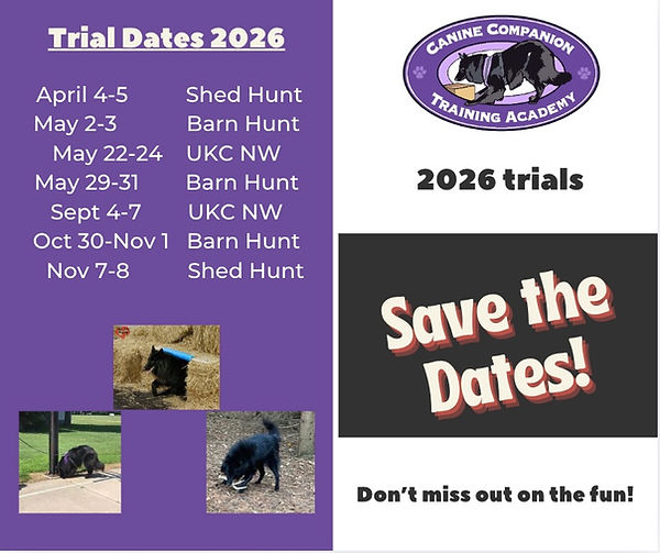 Image 2026-02-05 at 5.59 PM.jpeg