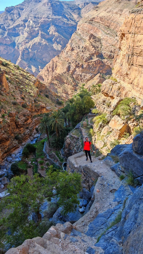 Palm grove and traditional irrigation channel in Masirat Al Jawameed, Jabal Akhdar