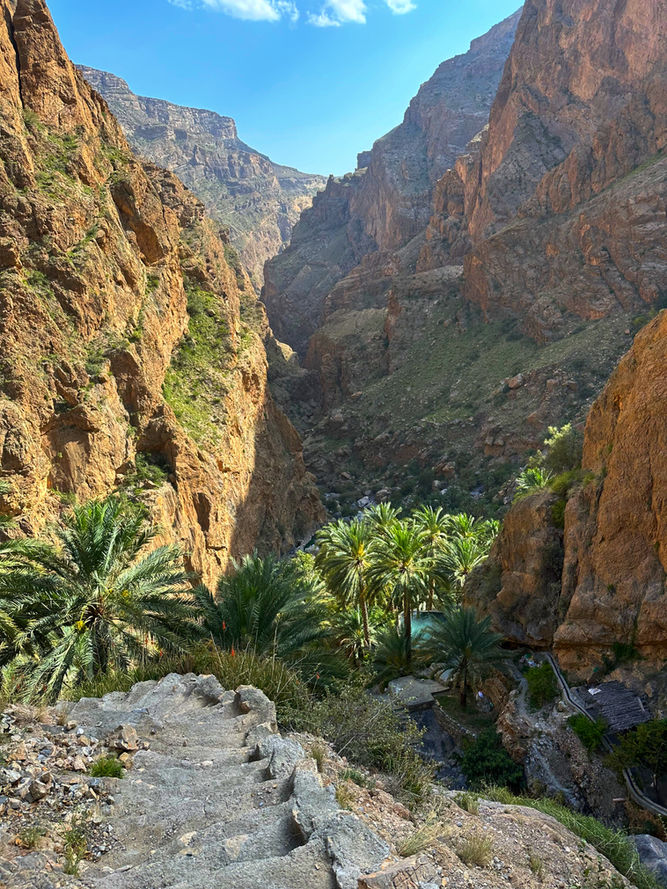 Palm-filled canyon and mountain scenery on the Wadi Bani Habib hiking trail in Jabal Akhdar
