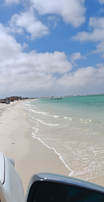 IMG_20250128_160632.jpg
