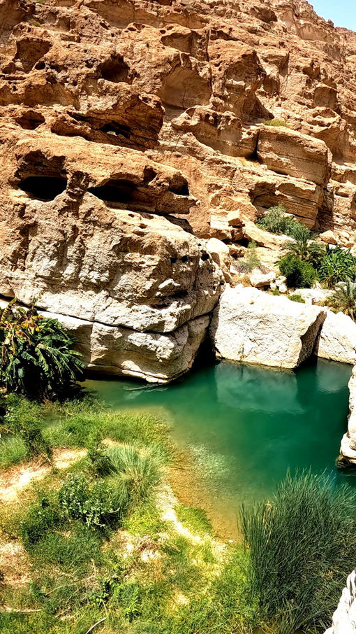Turquoise natural pool surrounded by pale limestone cliffs in an Omani wadi
