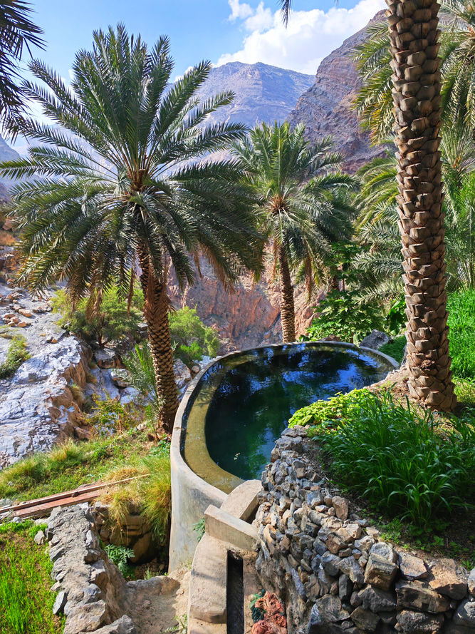 Traditional falaj irrigation channel and palm gardens in Masirat Al Jawameed, Jabal Akhdar, Oman