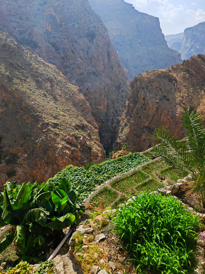 Hiker descending a rocky mountain trail during the Masirat Al Jawameed hiking adventure