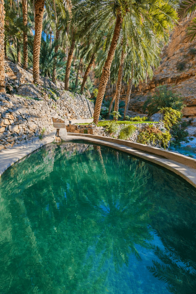 Clear traditional water pool surrounded by date palms in Masirat Al Jawameed, Oman