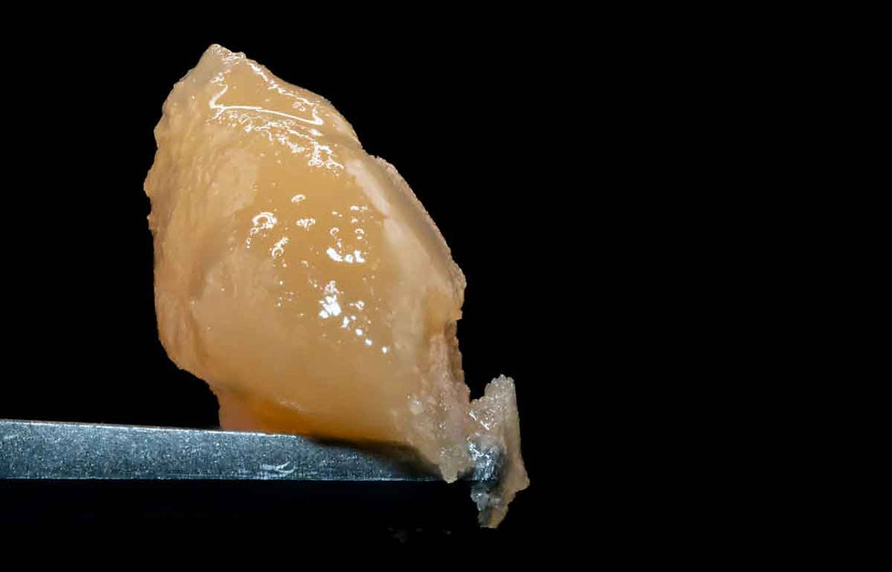 Cannabis hash rosin on dabbing tool