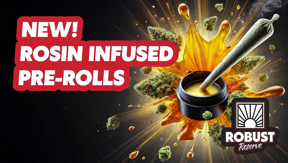Introducing Robust Reserve Infused Pre-Rolls: The Powerhouse of Potency and Flavor You’ve Been Waiting For