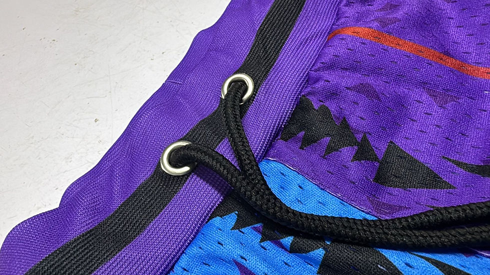 Thumbnail: PURPLE/BLUE Pin Striped RBA Shorts 