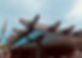 IMG_1218.jpeg