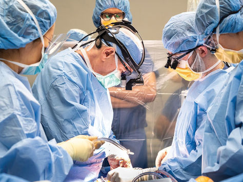 Advance Cardiothoracic Surgery Training Program