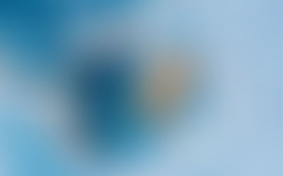 Arthroscopy Training program