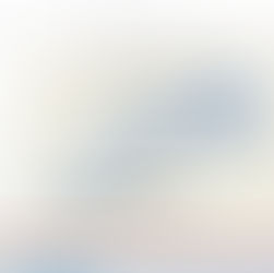 Plantemos para proteger el agua 