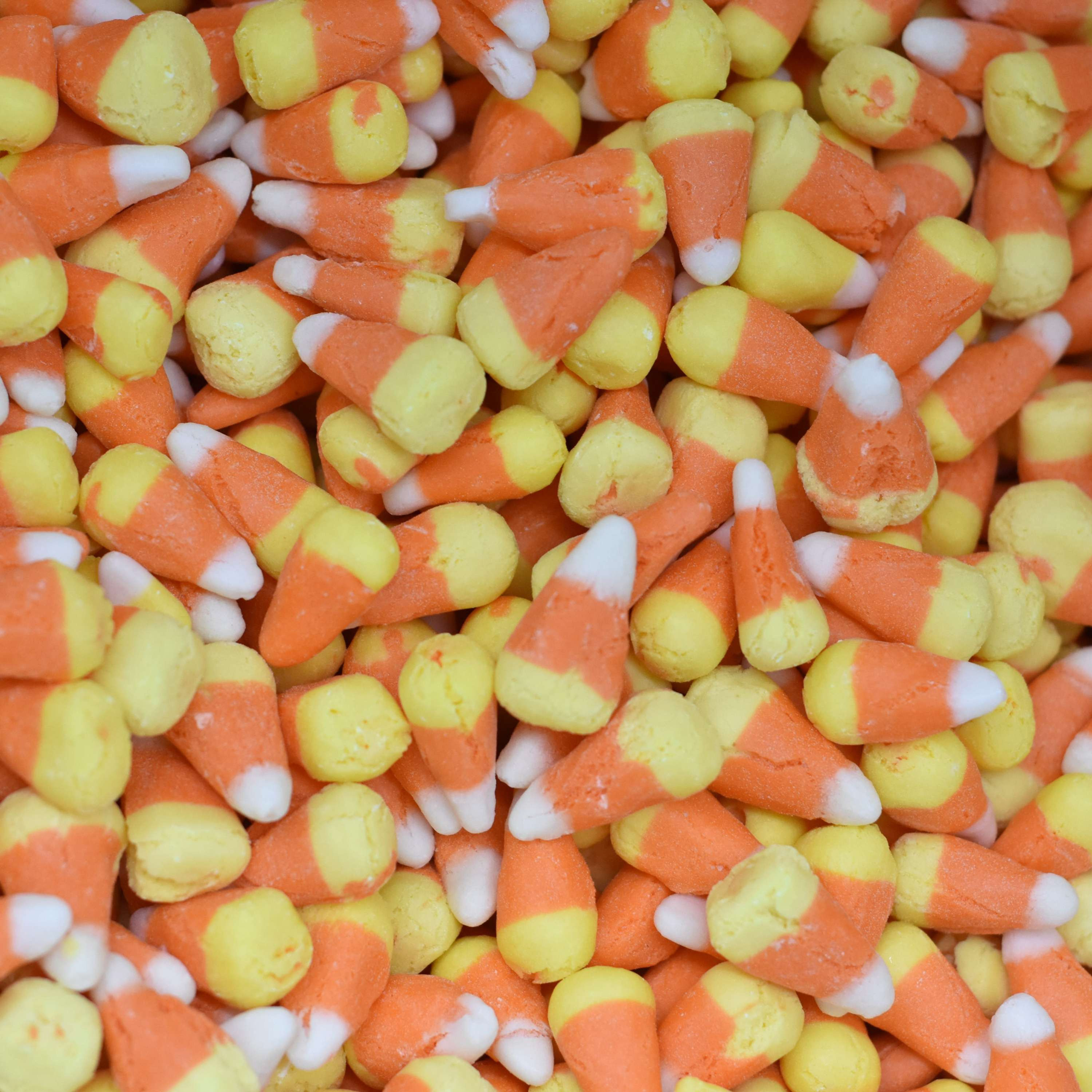 Freeze Dried Candy - Freeze Dried Candy Corn - Just Freeze It Sweets