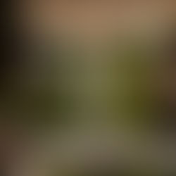 “Destination wedding in Tuscany at Villa di Maiano near Florence – captured by a wedding videographer in Italy”