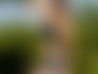 SIAMO TUTTI DIVERSI - IL BIOTIPO 1