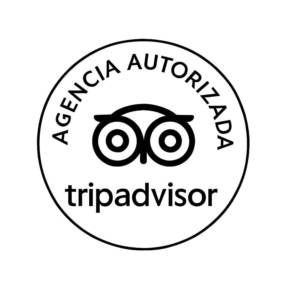 Diseño sin título.jpg