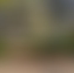 Fórum Econômico Mundial estabelece metaverso para as organizações