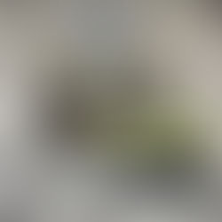 Thank you HIWCF! ❤️