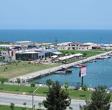 Yiğit Onur Şen