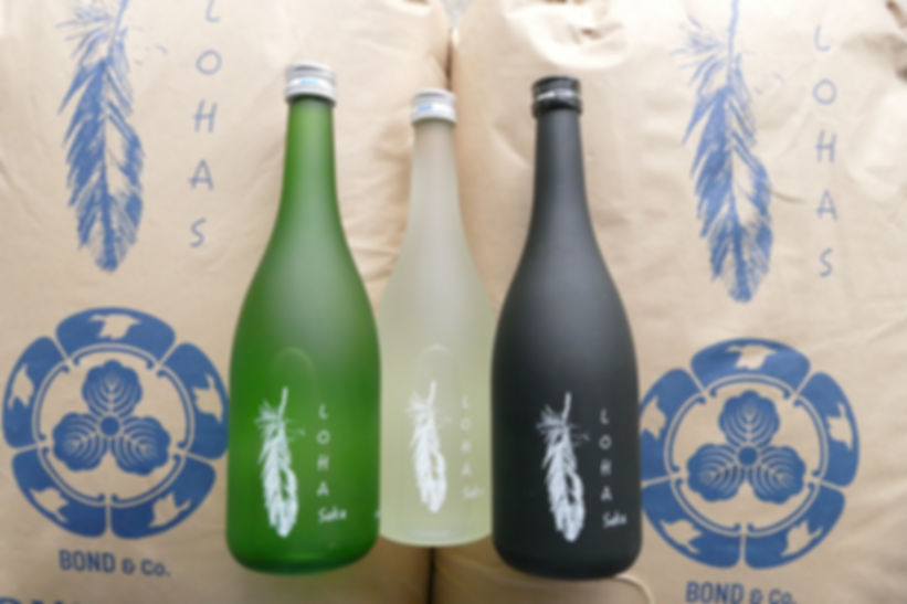 2026ロハ酒3種飲み比べセット（火入れ・生・生濁り）