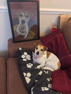 Pixie Jack Russell and her portrait