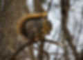 jeffrey-hamilton-3oFEqbGT11o-unsplash.jp