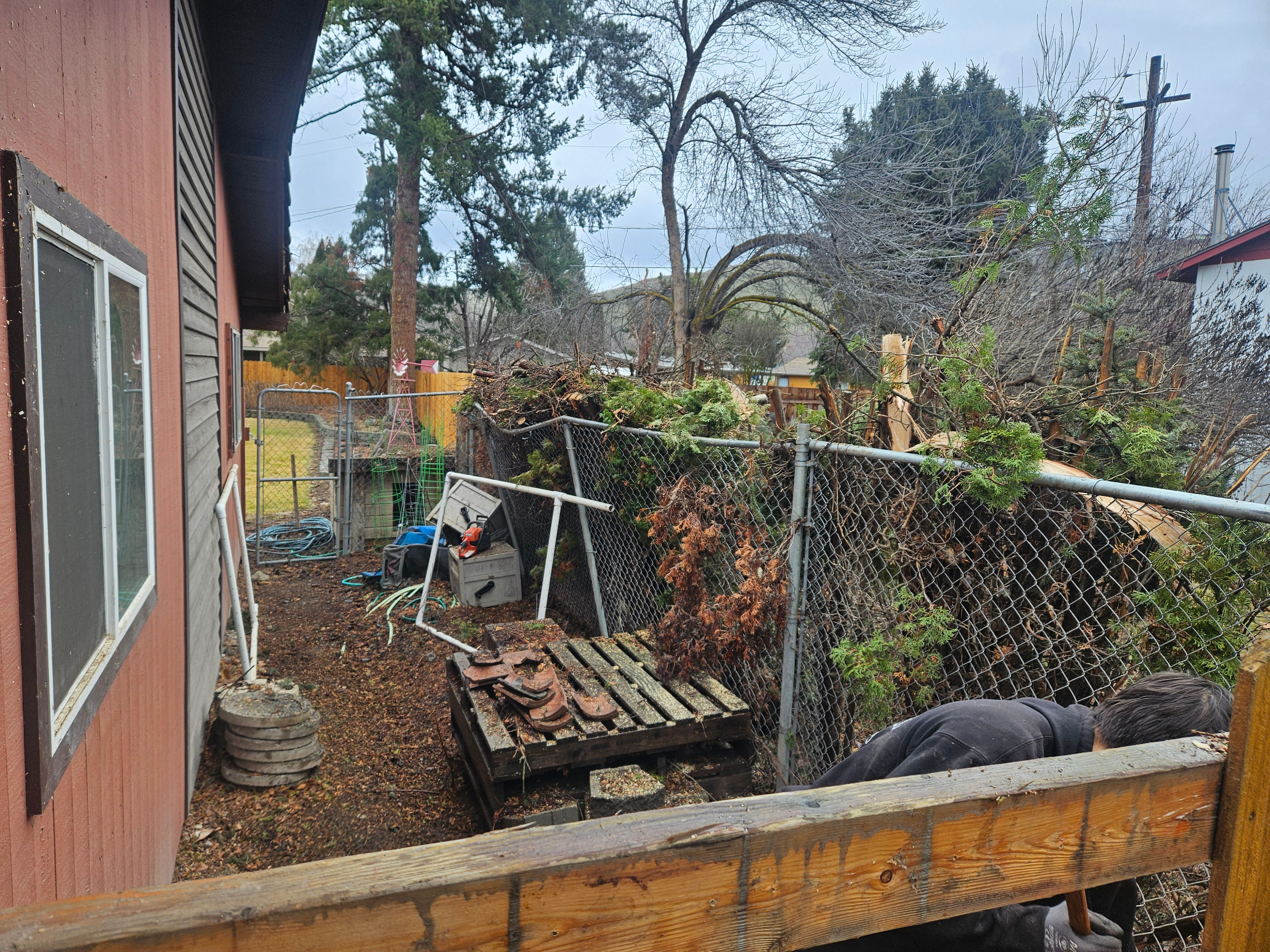 Lot in need of clearing