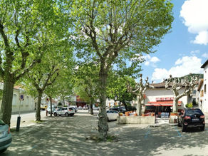 Infolettre #1 : La place Armand-Pugnot