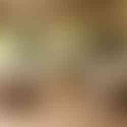 Warm and Inviting Outdoor Space