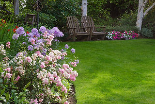 Lawn Care Garden