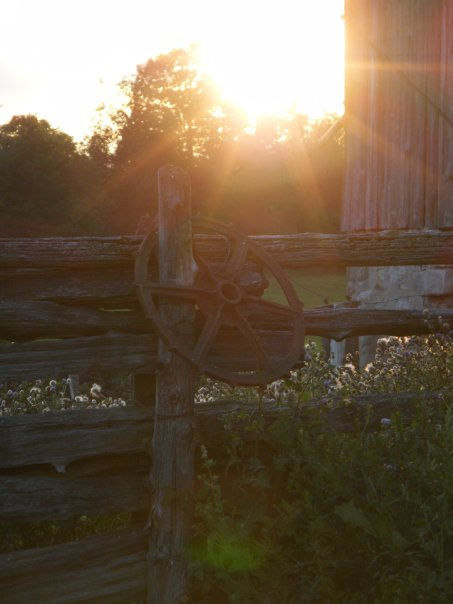 Farm